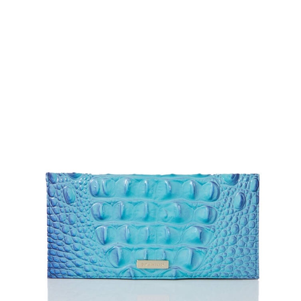 Affinity Ombre Checkbook - Picture 4 of 9